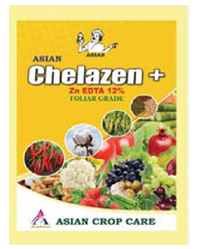 Asian Chelazen