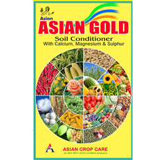 Asian Gold